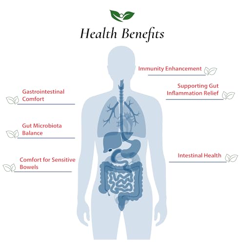 Bifidobacterium Infantis Probiotic Powder 100 Billion cfu's | Digestive & Immune Support | High Potency | B. Infantis (60 Grams)