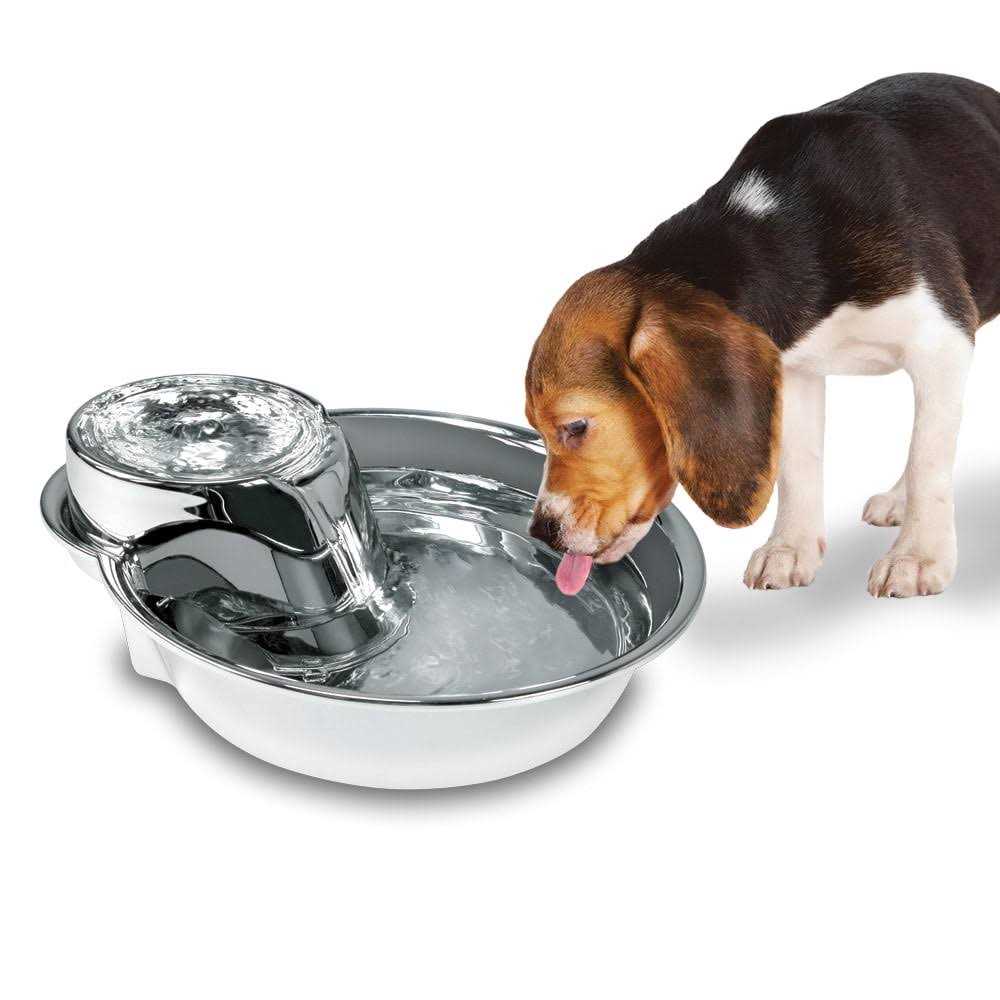 Pioneer Pet Big Max Stainless Steel Fountain - Pet Supplies online store