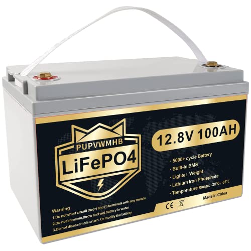 12V 100Ah LiFePO4 Deep Cycle Battery, 100Ah Lithium Battery Built-in BMS, Rechargeable 12V LiFePO4 Battery for Solar Home, RV, Camping, Golf Car, Backup Power, Fish Finder, Boat, Marine