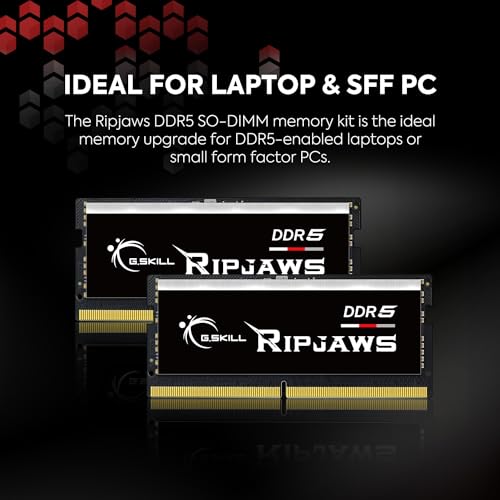 G.SKILL Ripjaws DDR5 SO-DIMM Series DDR5 RAM 64GB (2x32GB) 5600MT/s CL40-40-40-89 1.10V Unbuffered Non-ECC Notebook/Laptop Memory SODIMM (F5-5600S4040A32GX2-RS)