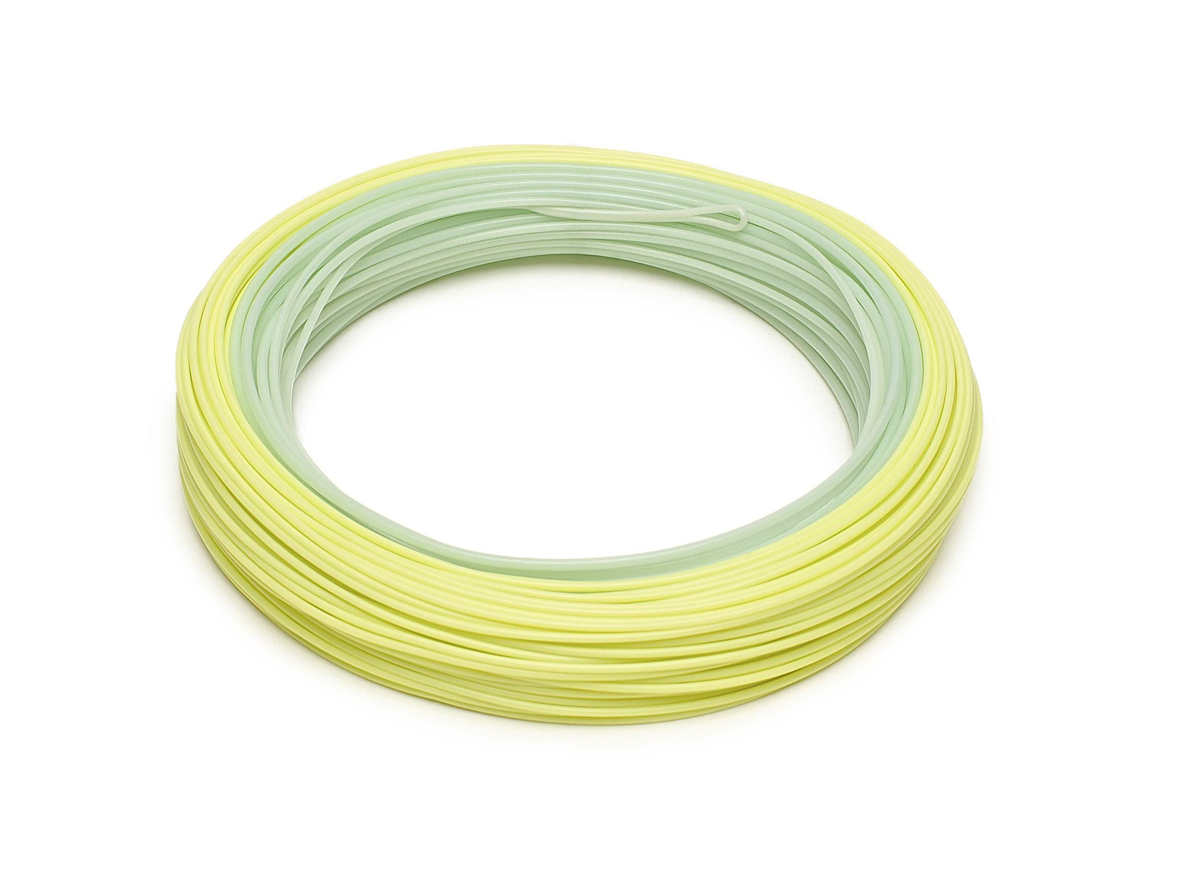 Rio InTouch Salmo Steelhead WF6F Fly Line