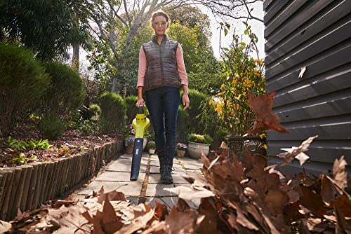 Ryobi OBL1820S ONE+ Cordless Blower, Air Speed (Zero Tool), 241 km/h, 18 V, Hyper Green and Grey