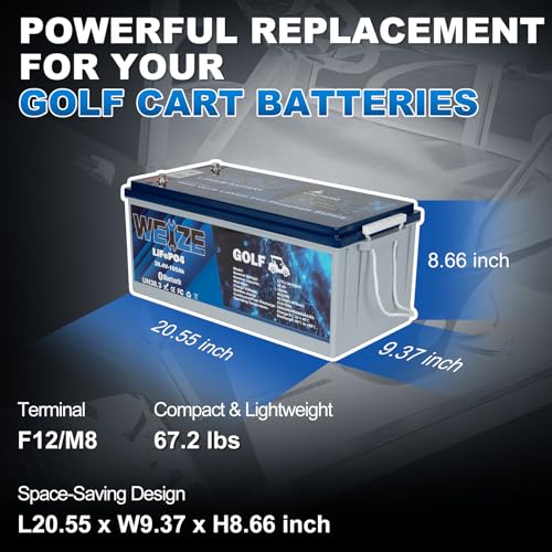 Weize 12V 100Ah TM LiFePO4 Lithium Battery, Built-in Smart BMS, Group 31 Deep Cycle Battery Perfect for Trolling Motor, RV, Solar, Marine, Overland/Van, and Off Grid Applications