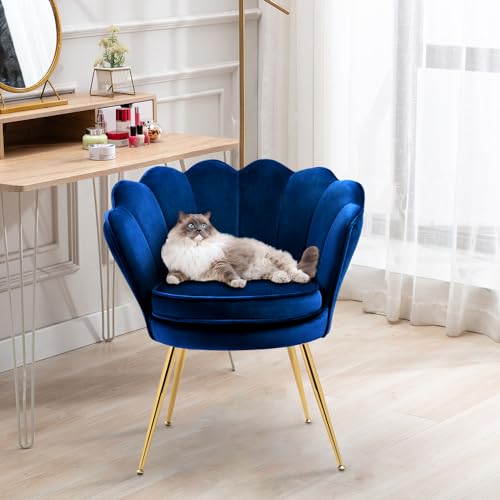 Velvet Accent Chairs Set of 2 for Living Room, Mid Century Modern Arm Chair, Comfy Vanity Chair for Makeup Room, Reception Armchair with Golden Legs for Bedroom, Grey