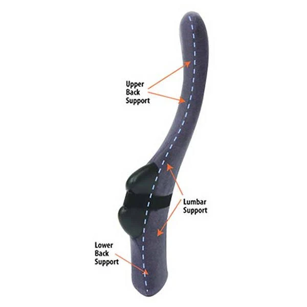 Therapeutica Spinal Back Support - Average