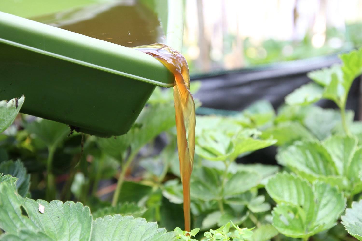 Hungry Bin - Continuous Flow Worm Composter