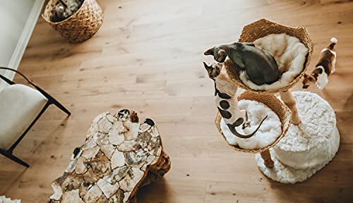 MAU Modern Cat Tree Tower for Large Cats, Real Branch Luxury Cat Condo, Wood Cat Tower, Cat Scratching Tree, Cat Condo, Cat Lover Gift, Luxury Cat, Cat Gifts by Mau Lifestyle