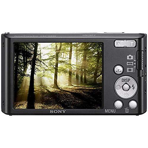 Sony DSCW830 20.1 MP Digital Camera with 2.7-Inch LCD (Silver)