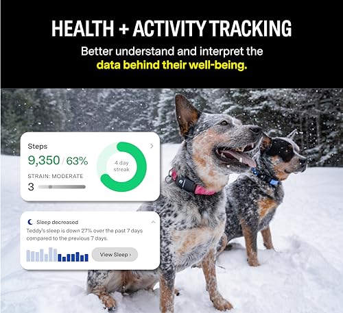 Fi Series 3 Smart Dog Collar - GPS Dog Tracker and Activity & Health Monitor, Waterproof, LED Light, Escape Alerts, Nationwide Coverage [Free 1 Year Membership] (Pink, Medium)