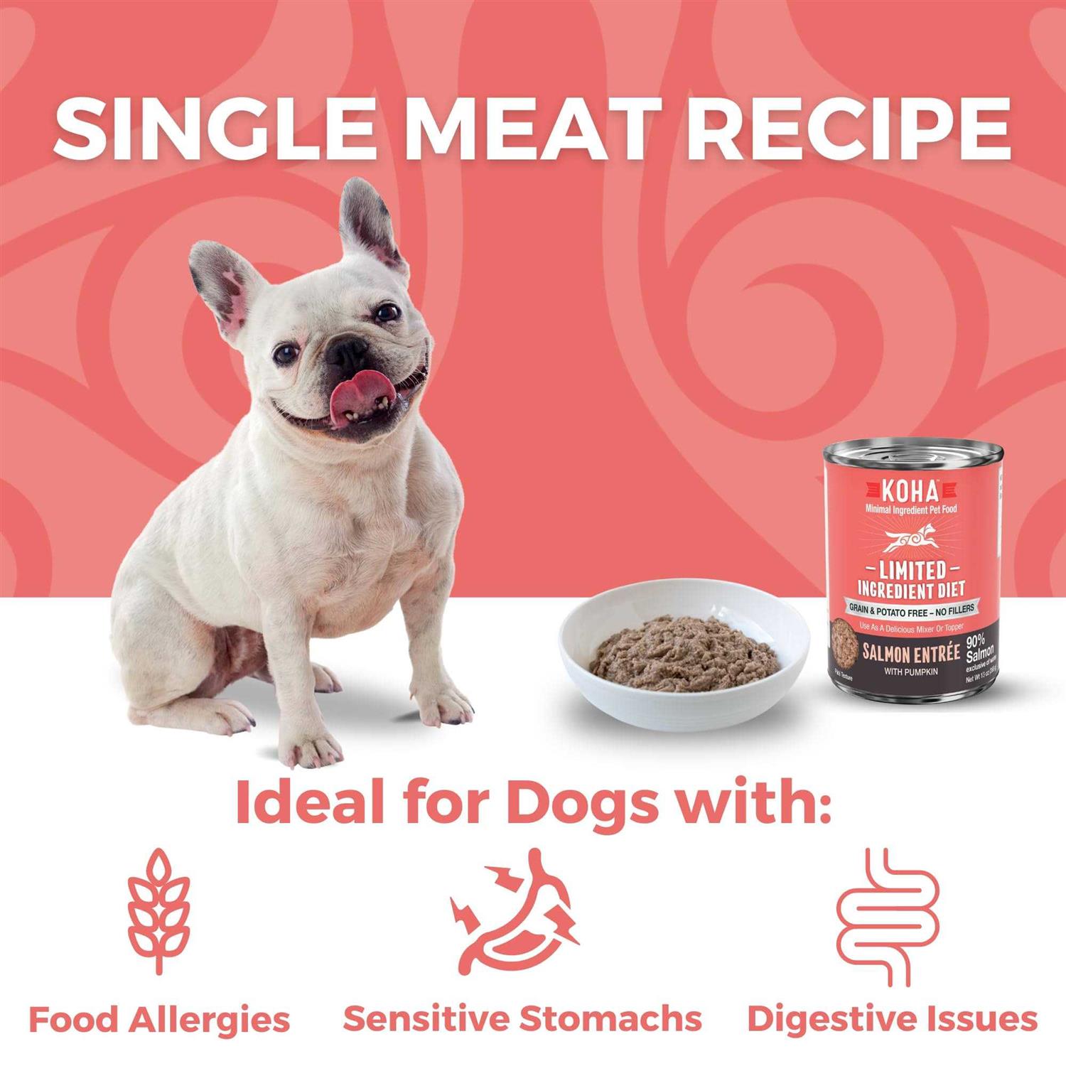 Koha Grain &amp; Potato Free Limited Ingredient Diet Salmon Entree with Pumpkin Canned Dog Food - Pet Supplies online store