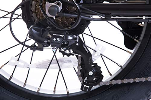 Soumye Beach Cruiser E-Bike 1050W Pack Watts Motor 48V/768WH Lithium Battery 26”x4.0 Fat Tire Max Speed 28m/h Step-Thru M5 Larger Size Display 7 Gears for Adults