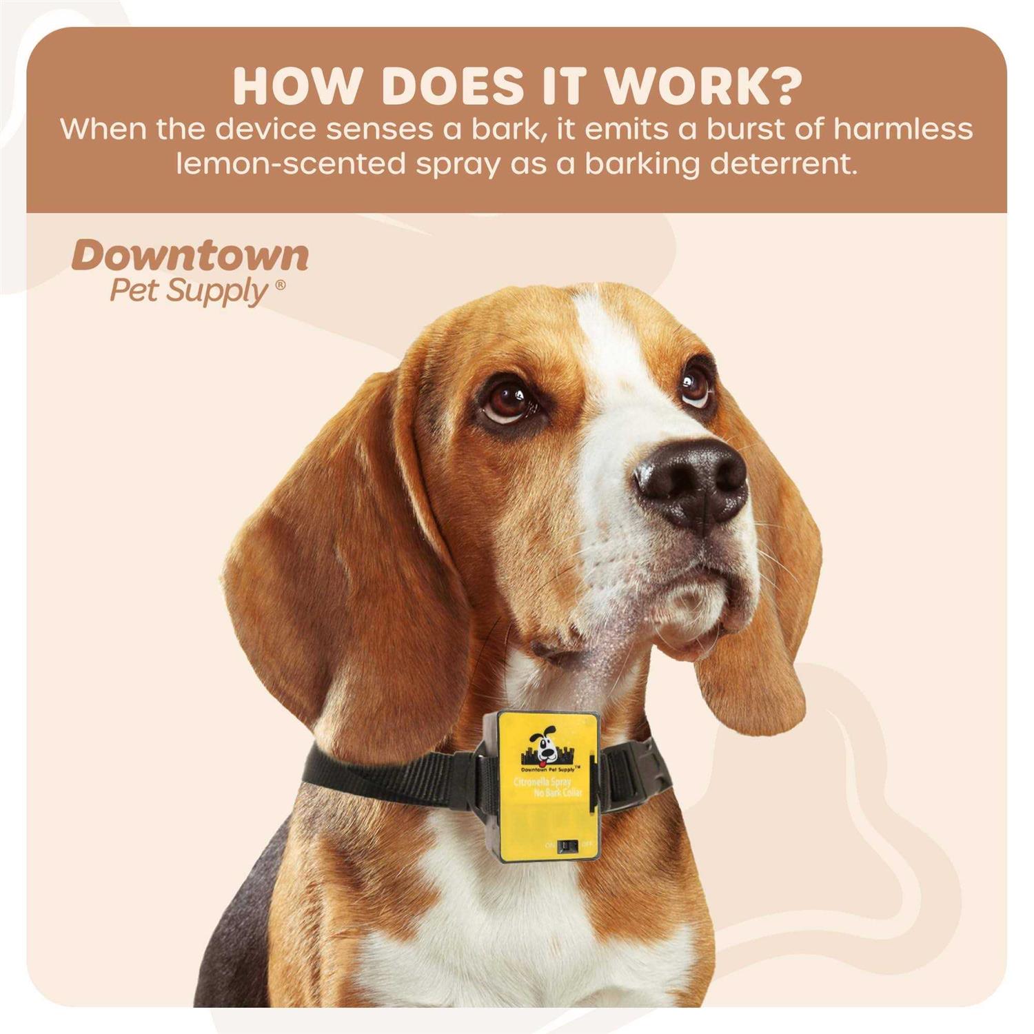 Downtown Pet Supply Citronella Bark Collar - Pet Supplies online store