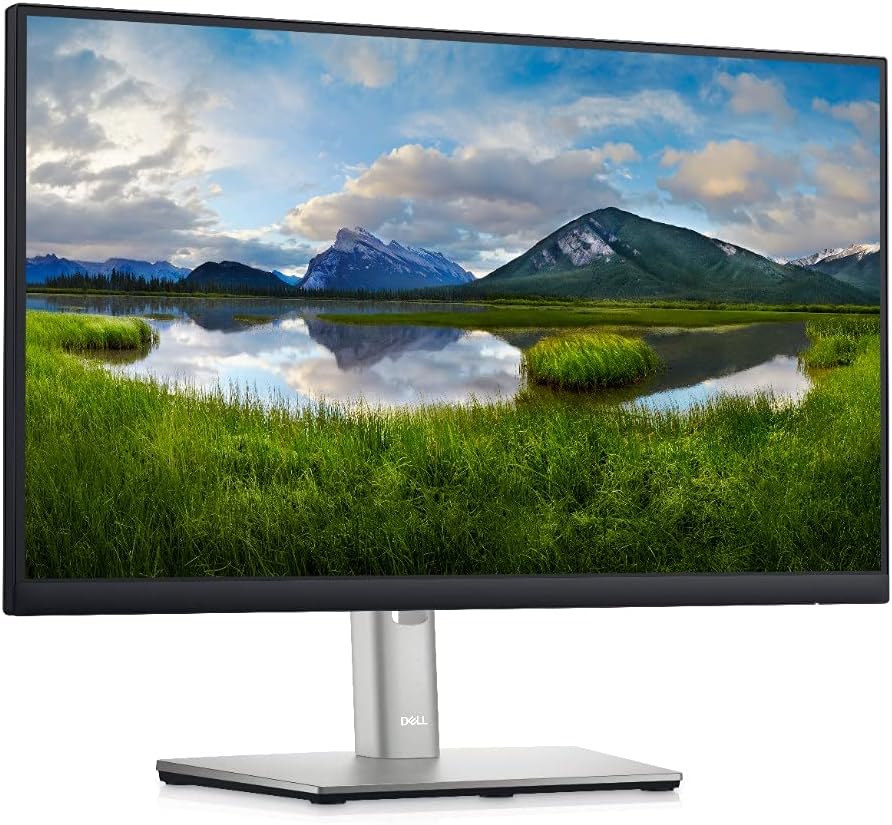 Dell 22 Monitor - P2222H - Full HD 1080p, IPS Technology