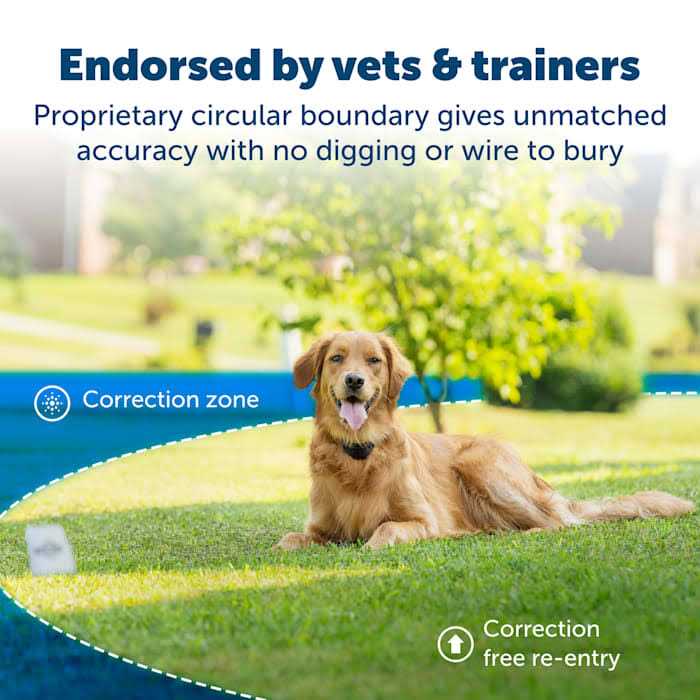 PetSafe Stay and Play Wireless Fence with Replaceable Battery Collar - Pet Supplies online store