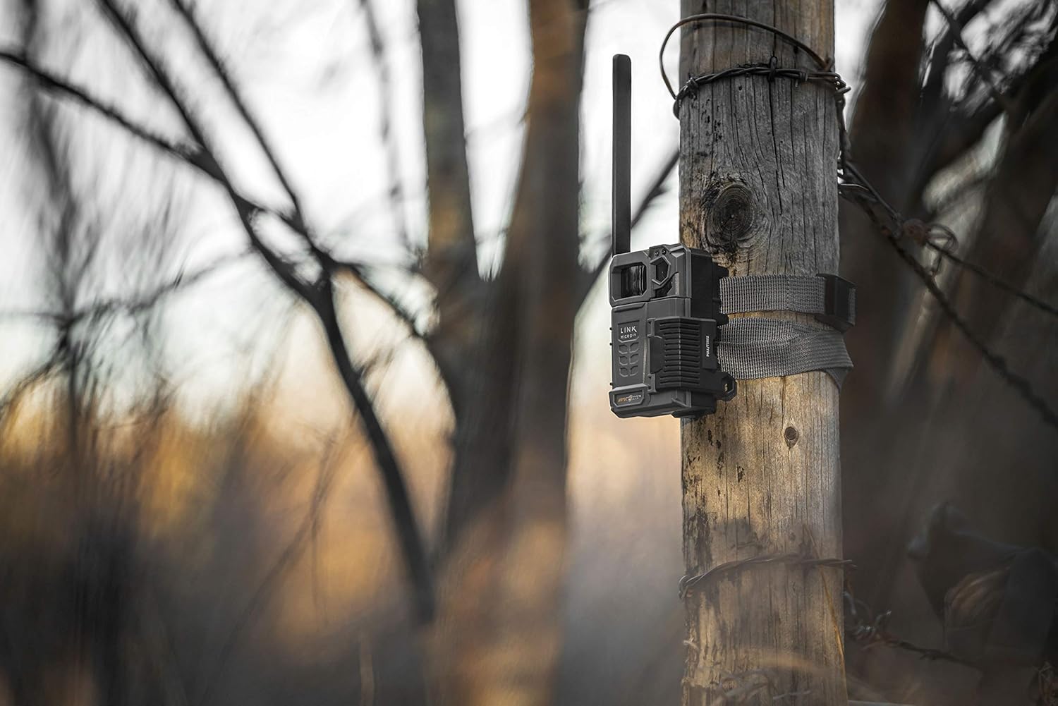 SPYPOINT Link-Micro-LTE Twin Pack of Cellular Trail Cameras 10MP with Two Security Steel Cases (AT&T (USA Nationwide))