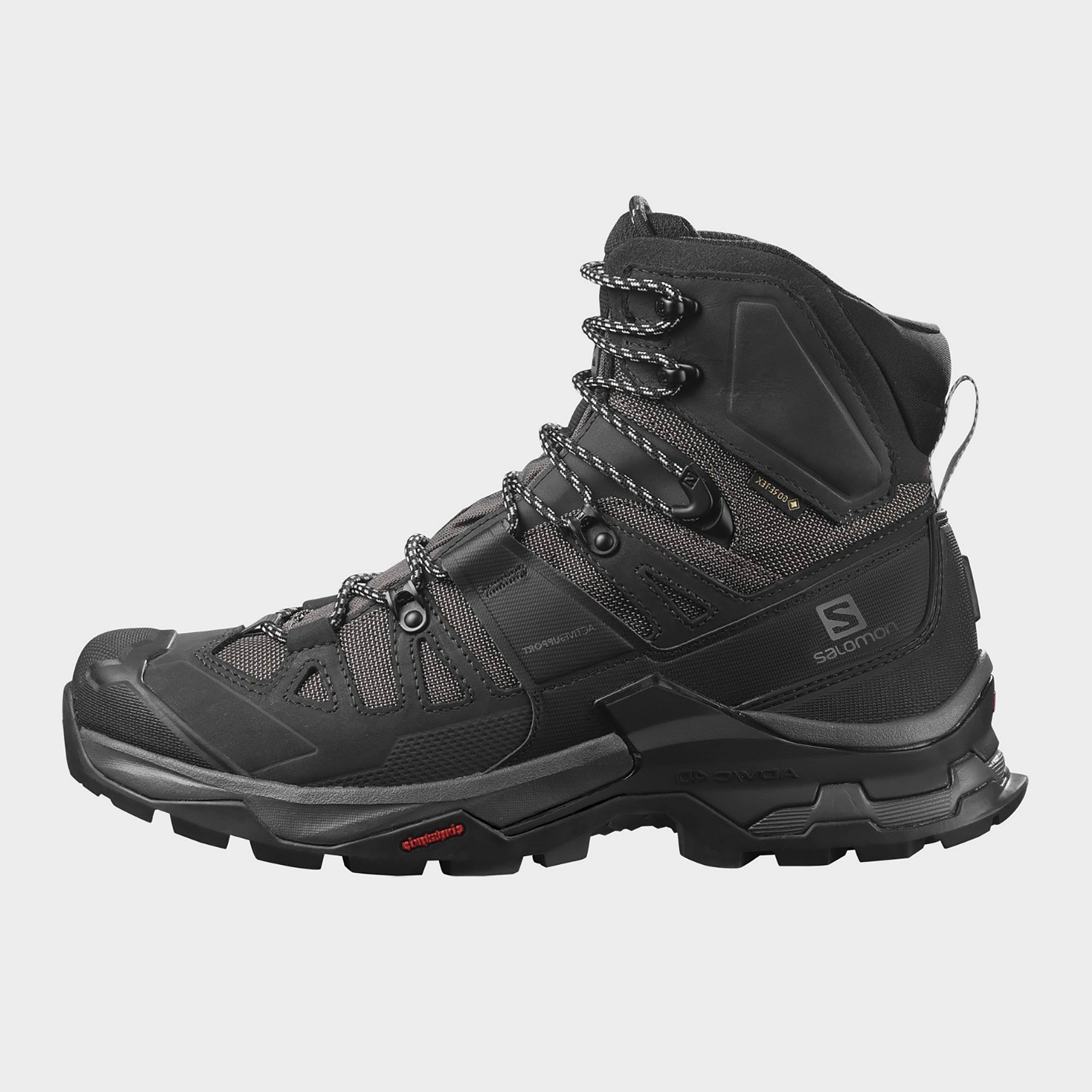 Salomon Quest 4 GTX, Men&s Magnet/Black/Quarry
