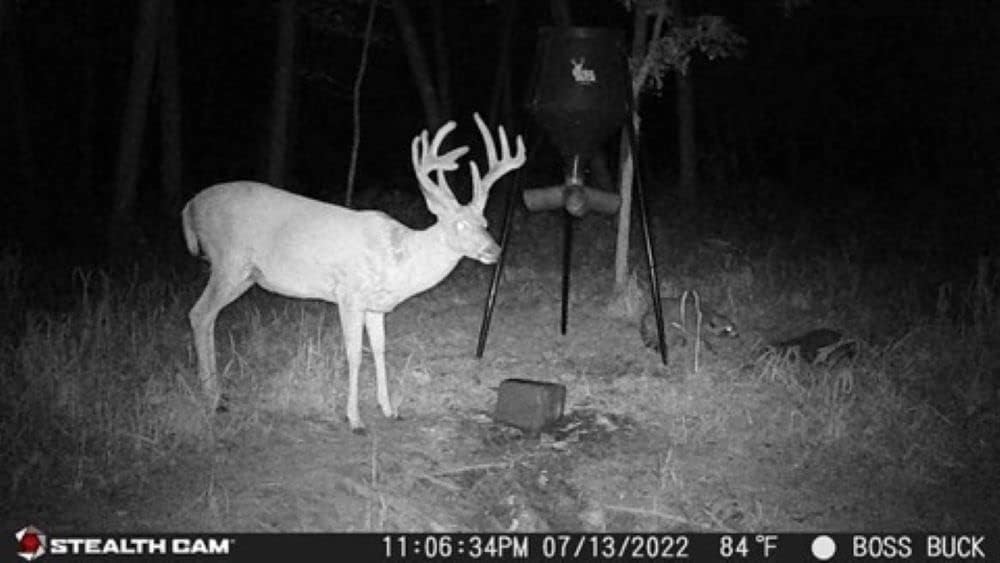 Stealth Cam GMAX32 32MP 1080P Video Hunting Trail Camera with Large Security Box
