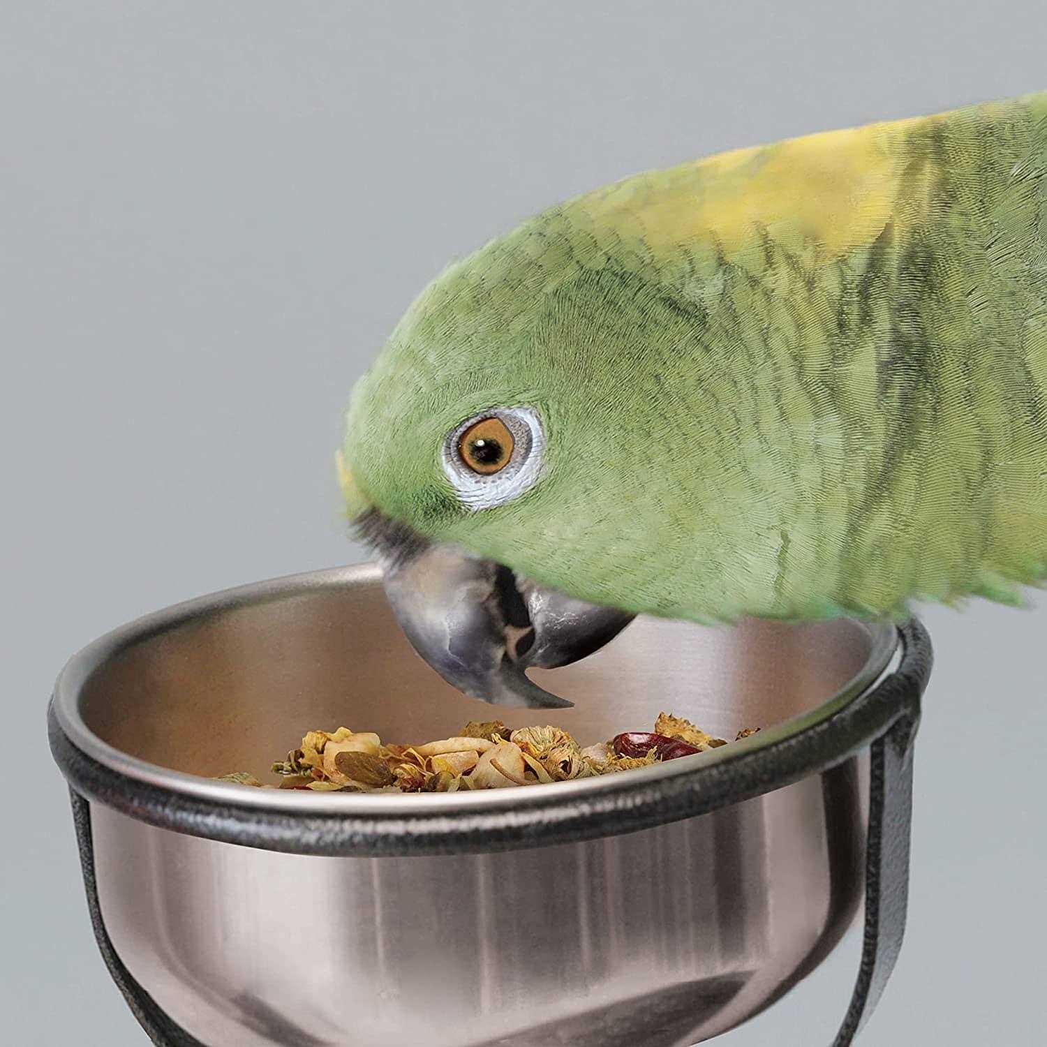 Kaytee EZ Care T Bird Stand - Pet Supplies online store
