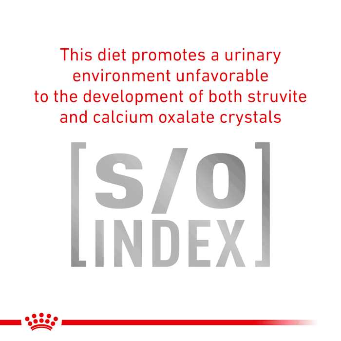 Royal Canin Veterinary Diet Urinary SO Moderate Calorie Dry Dog Food - Pet Supplies online store
