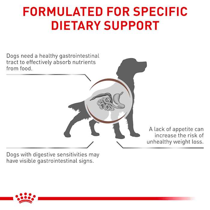 Royal Canin Veterinary Diet Canine Gastrointestinal Dry Dog Food - Pet Supplies online store