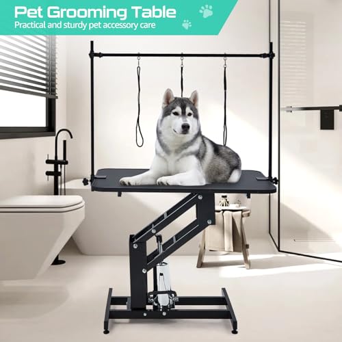 43.3" Hydraulic Dog Grooming Table for Pet, Heavy Duty Structural Hydraulic Max Load 350Lbs Professional Pet Grooming Table with Adjustable Overhead Arm & Noose Height Range 22''-39'' (WHITE)