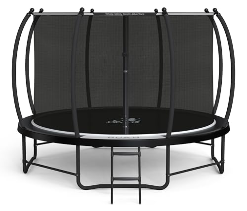 BCAN 8FT 10FT 12FT 14FT 15FT 16FT Recreational Trampoline with Enclosure for Kids Adults, ASTM Approved, Outdoor Trampolines with Ladder for Kids