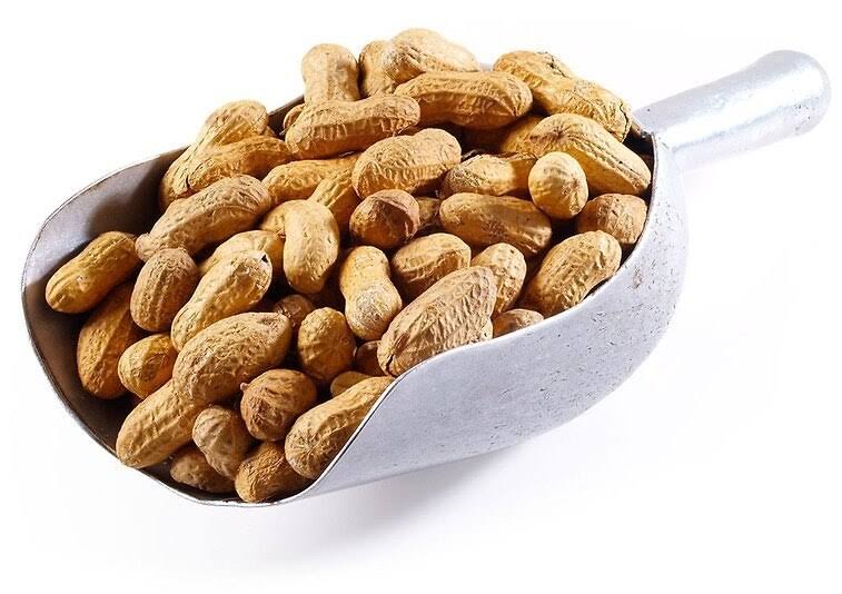 Roasted Peanuts (Salted, in Shell) - 25 Pounds - Bulk Discount