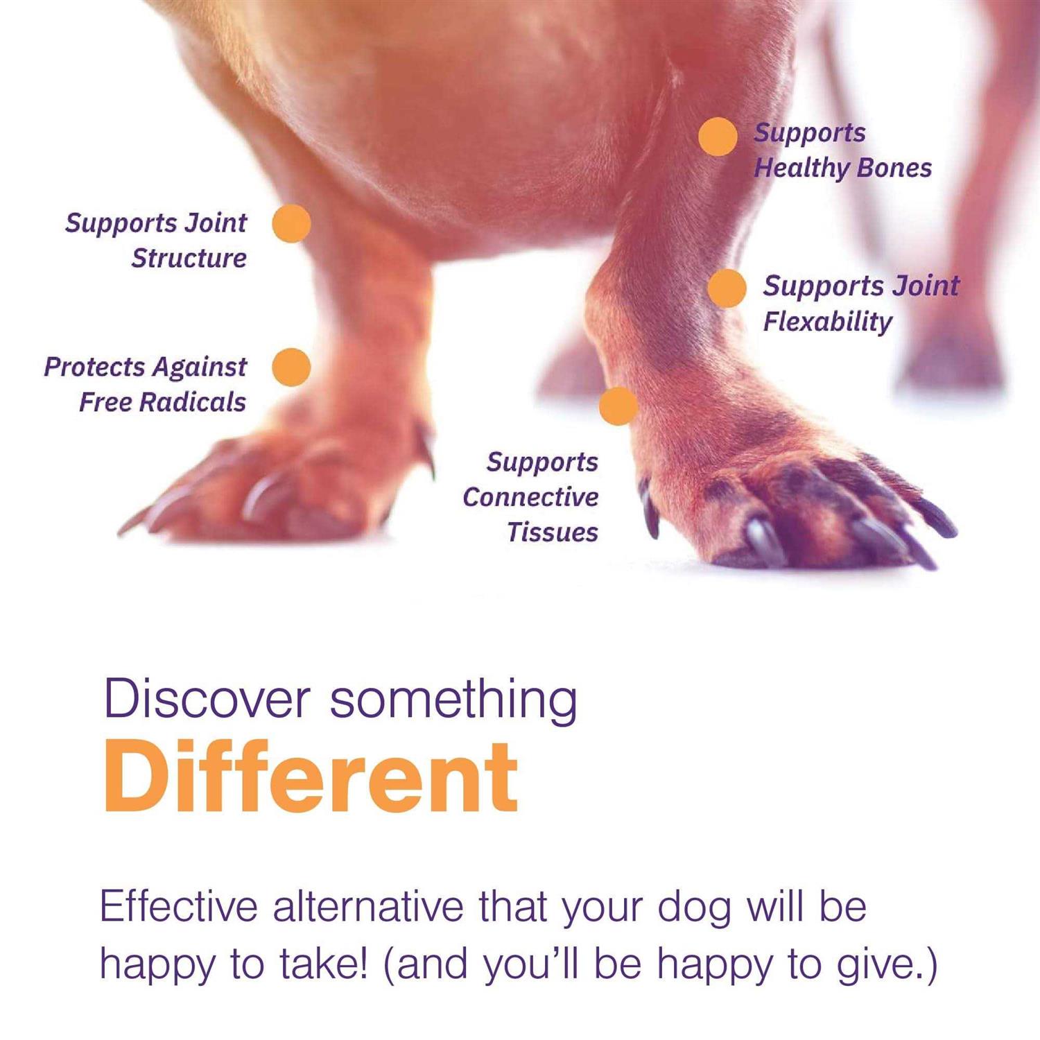 Movoflex Joint Support Soft Chews for Dogs - Pet Supplies online store