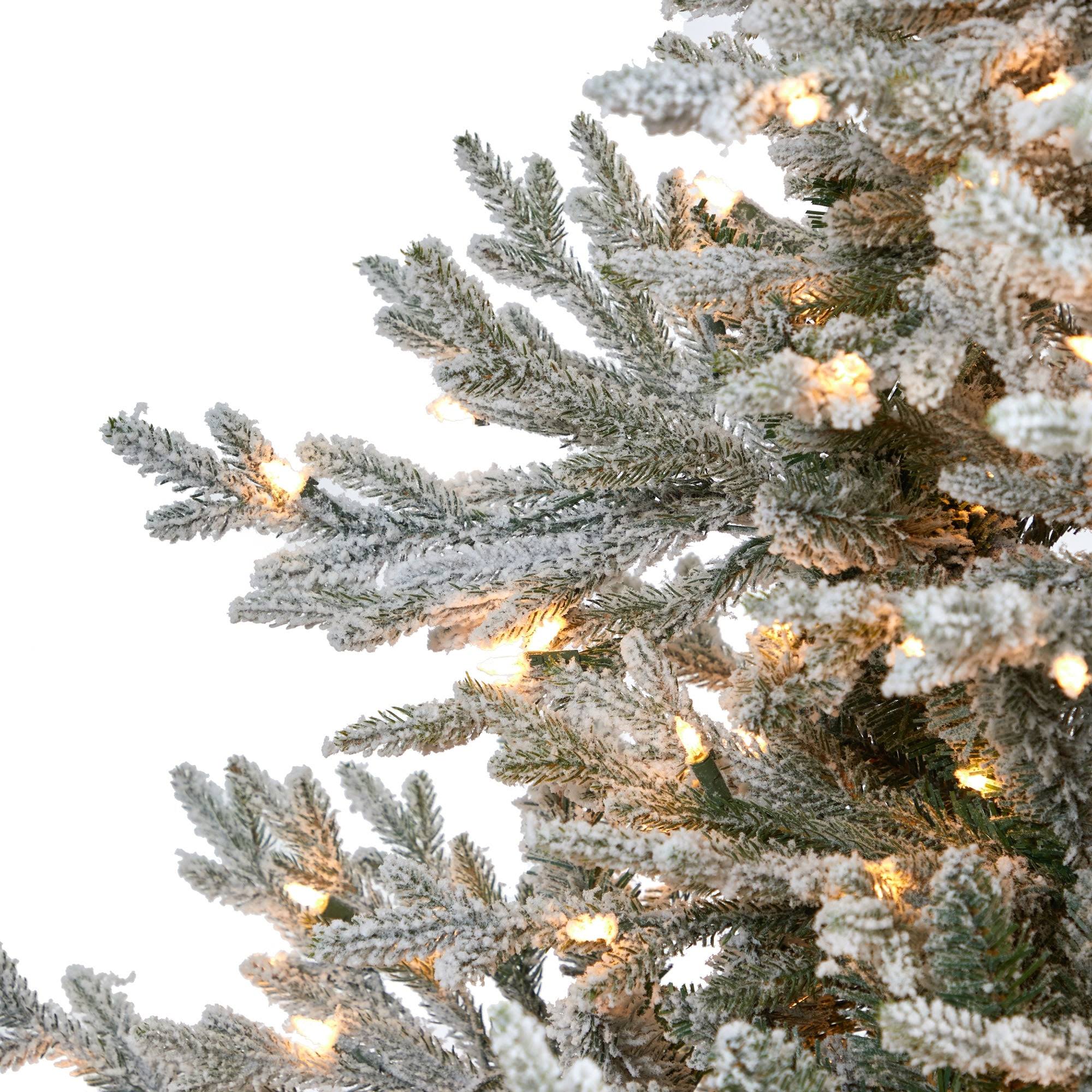 7' Flocked Fraser Fir Christmas Tree with 600 Warm White Lights - Green