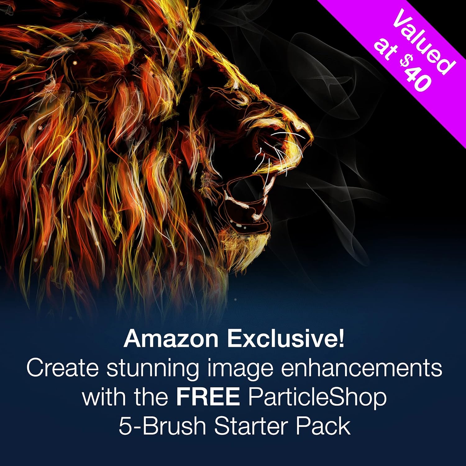 Corel PaintShop Pro 2022 Ultimate | Photo Editing & Graphic Design Software + Creative Bundle | Amazon Exclusive ParticleShop Starter Pack [PC Download] Pack of 2