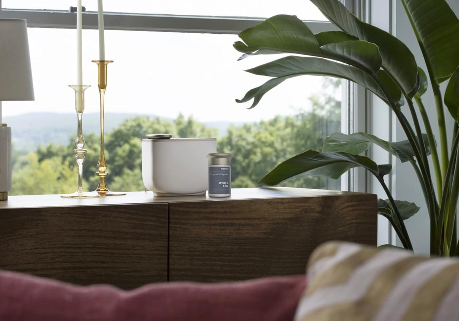 Westin White Tea Room Diffuser and Scent Capsule - Hotel Fragrance - Signature White Tea Scent