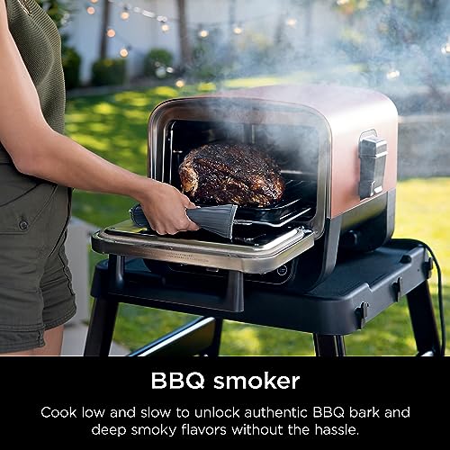 Ninja Woodfire Pizza Oven, 8-in-1 outdoor oven, 5 Pizza Settings, Ninja Woodfire Technology, 700°F high heat, BBQ smoker, wood pellets, pizza stone, electric heat, portable, terracotta red, OO101