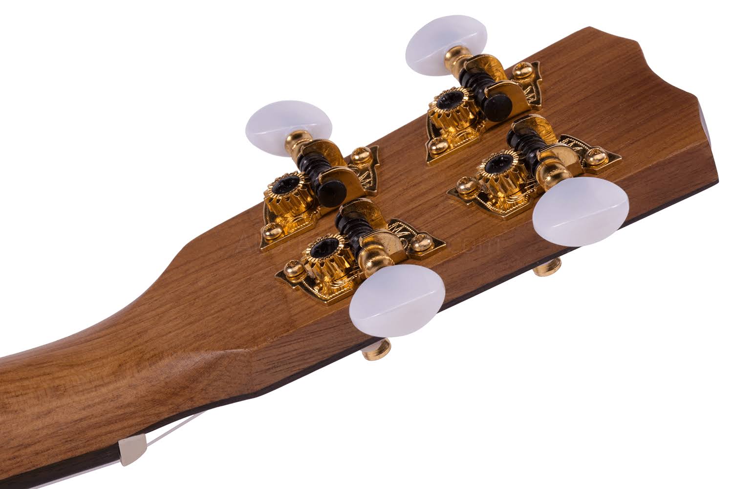 Cordoba 25CK Concert Ukulele