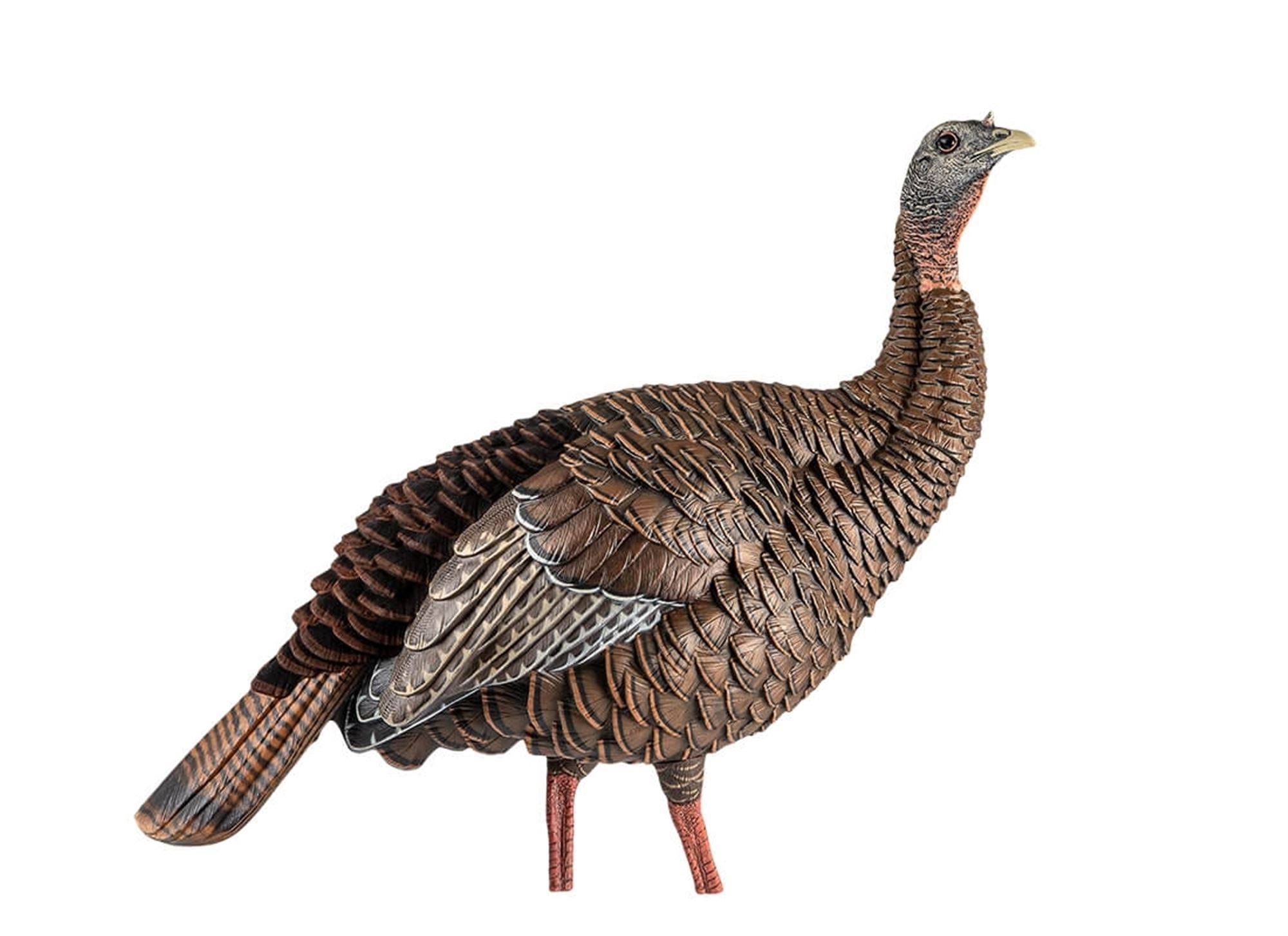 Avian x HDR Feeding Hen Turkey Decoy