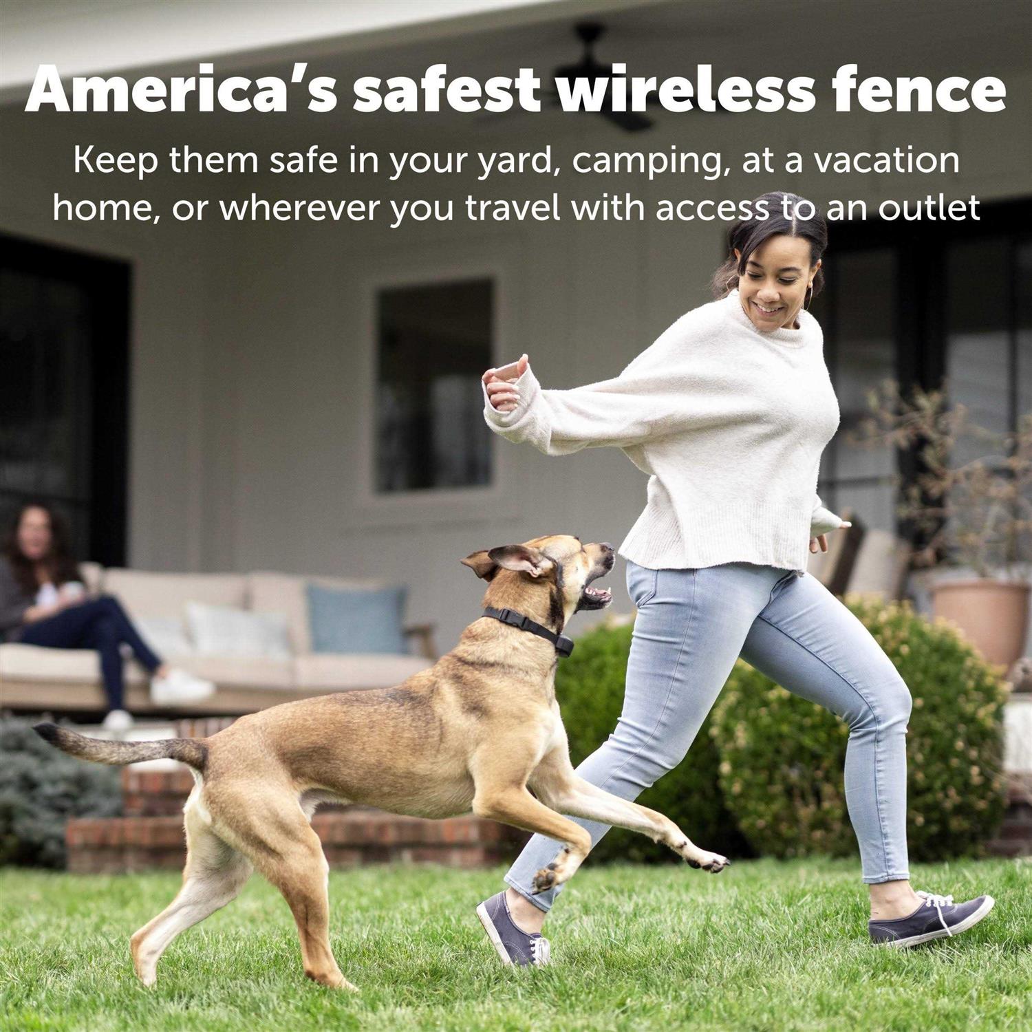 PetSafe Stay Play Wireless Fence - Pet Supplies online store