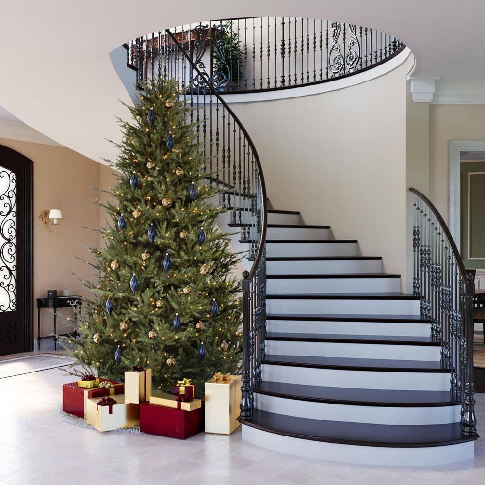 Vickerman 6.5& x 56x22 Itasca Frasier Tree 600Warm White LED Lights