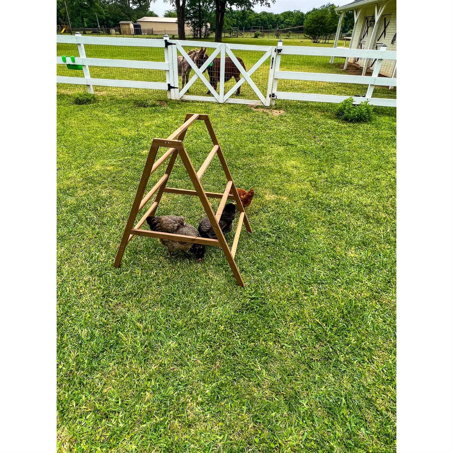 Zylina Play-N-Roost Roosting Ladder - Shop Hardware Tools Online Store