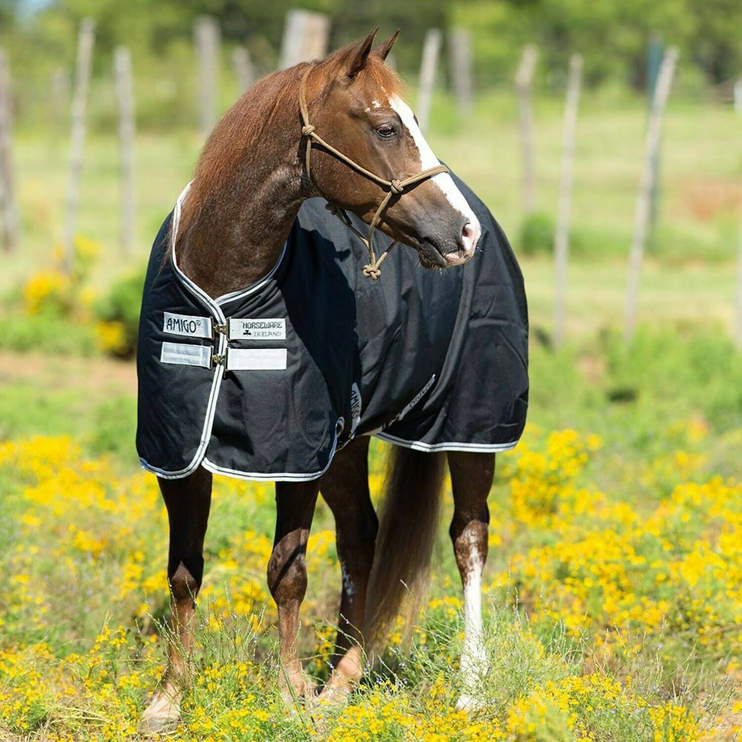 Amigo Stock Horse Lite Turnout Sheet