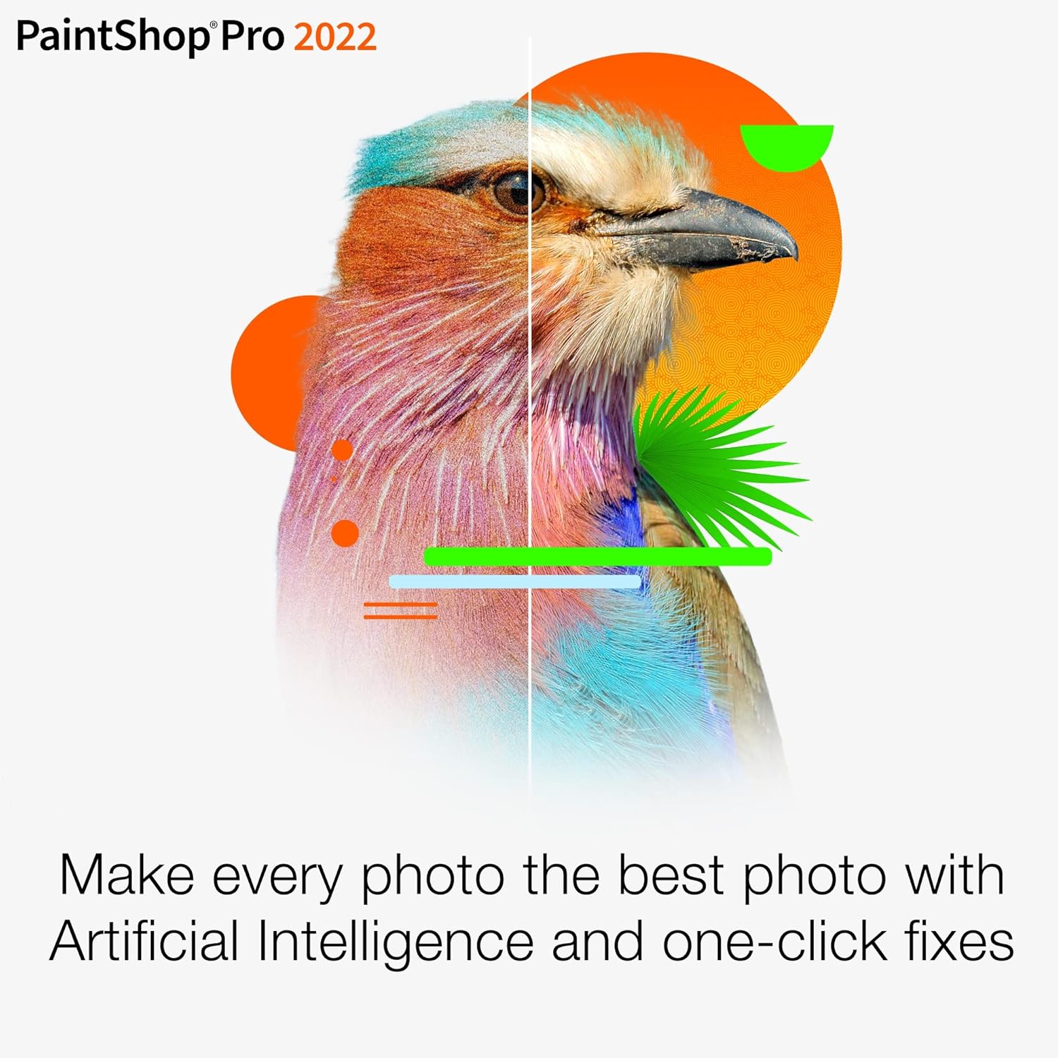 Corel Photo Video Pro Bundle 2022 | PaintShop Pro + VideoStudio | Photo and Video Editing Software [PC Download]