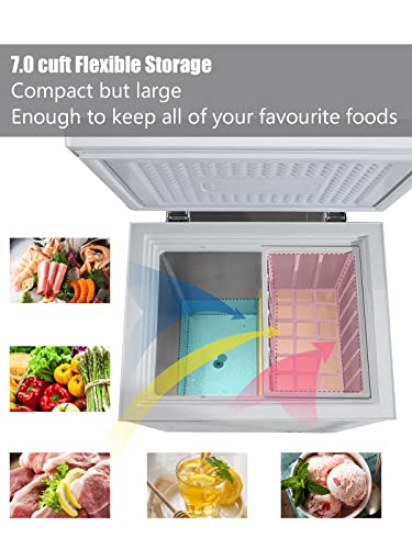 ZT-freezer-1