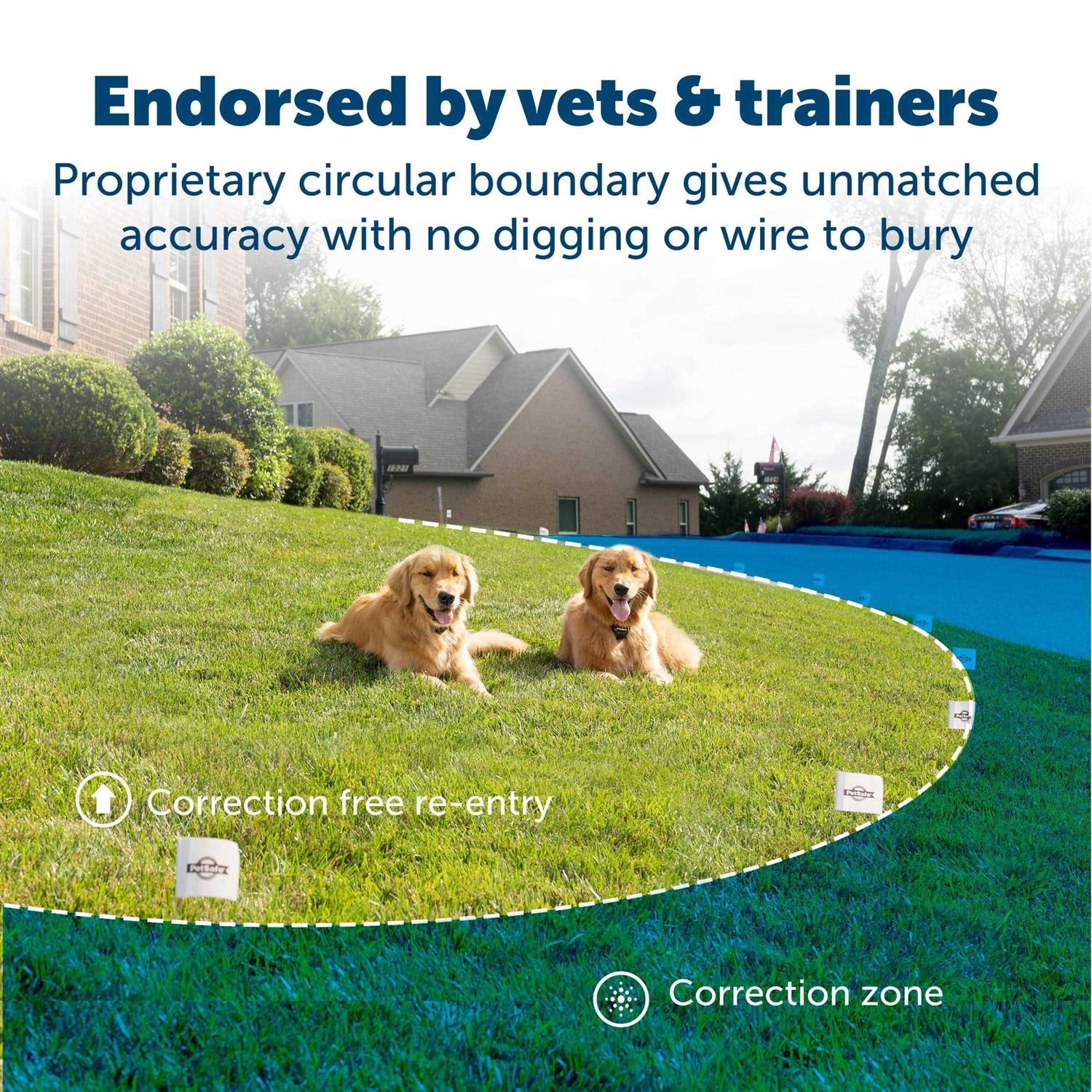 PetSafe Stay Play Wireless Fence - Pet Supplies online store
