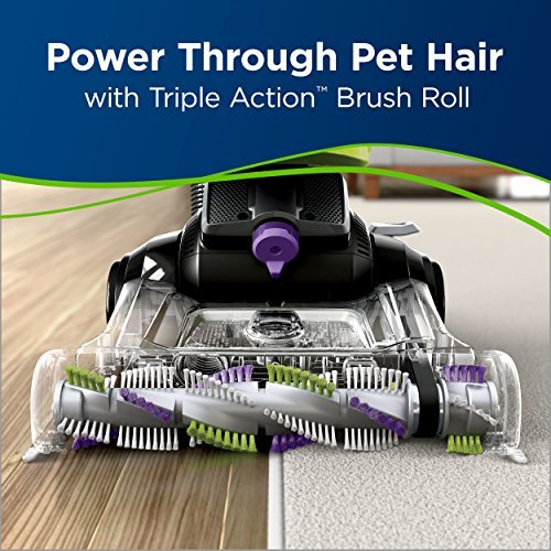 BISSELL Cleanview Swivel Pet Upright Bagless Vacuum Cleaner, Green, 2252