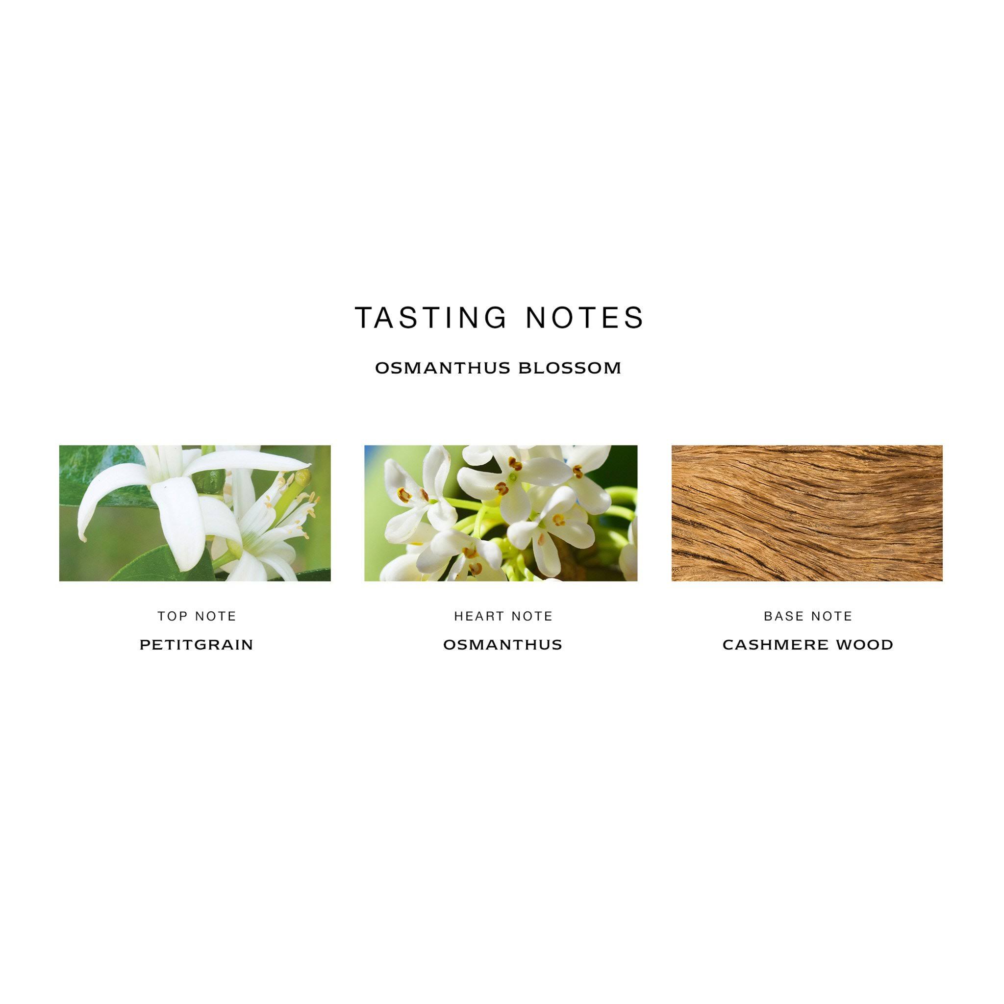 Jo Malone Osmanthus Blossom by Jo Malone Cologne Spray 3.4 oz