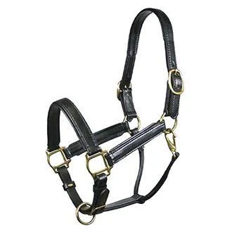 Tory Leather Company Padded Leather Halter