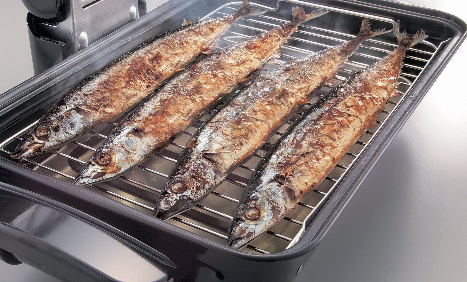 Zojirushi America EF-VPC40 Fish Roaster, Metallic Gray