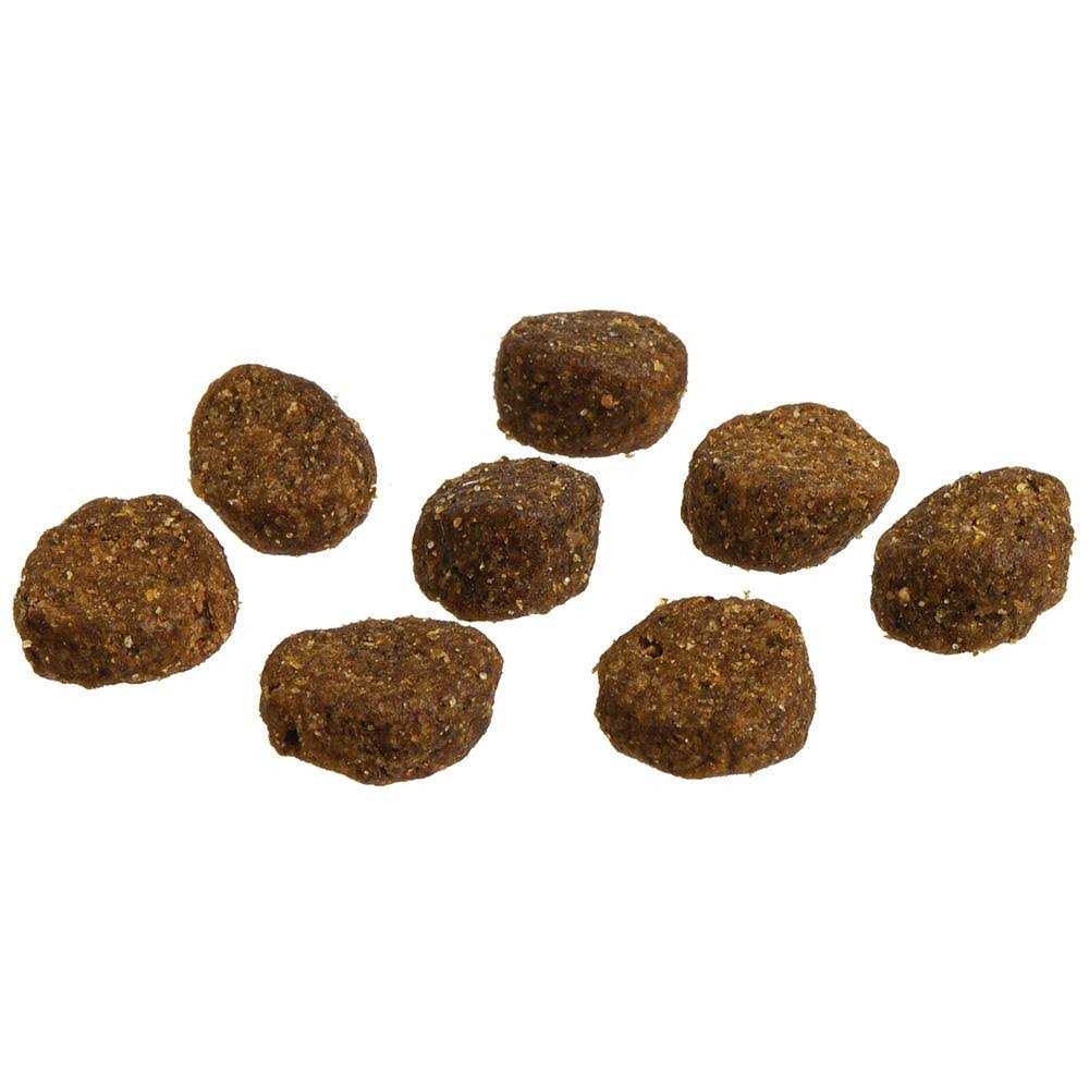 Redbarn Dog Food Whole Grain Sky Recipe - Pet Supplies online store