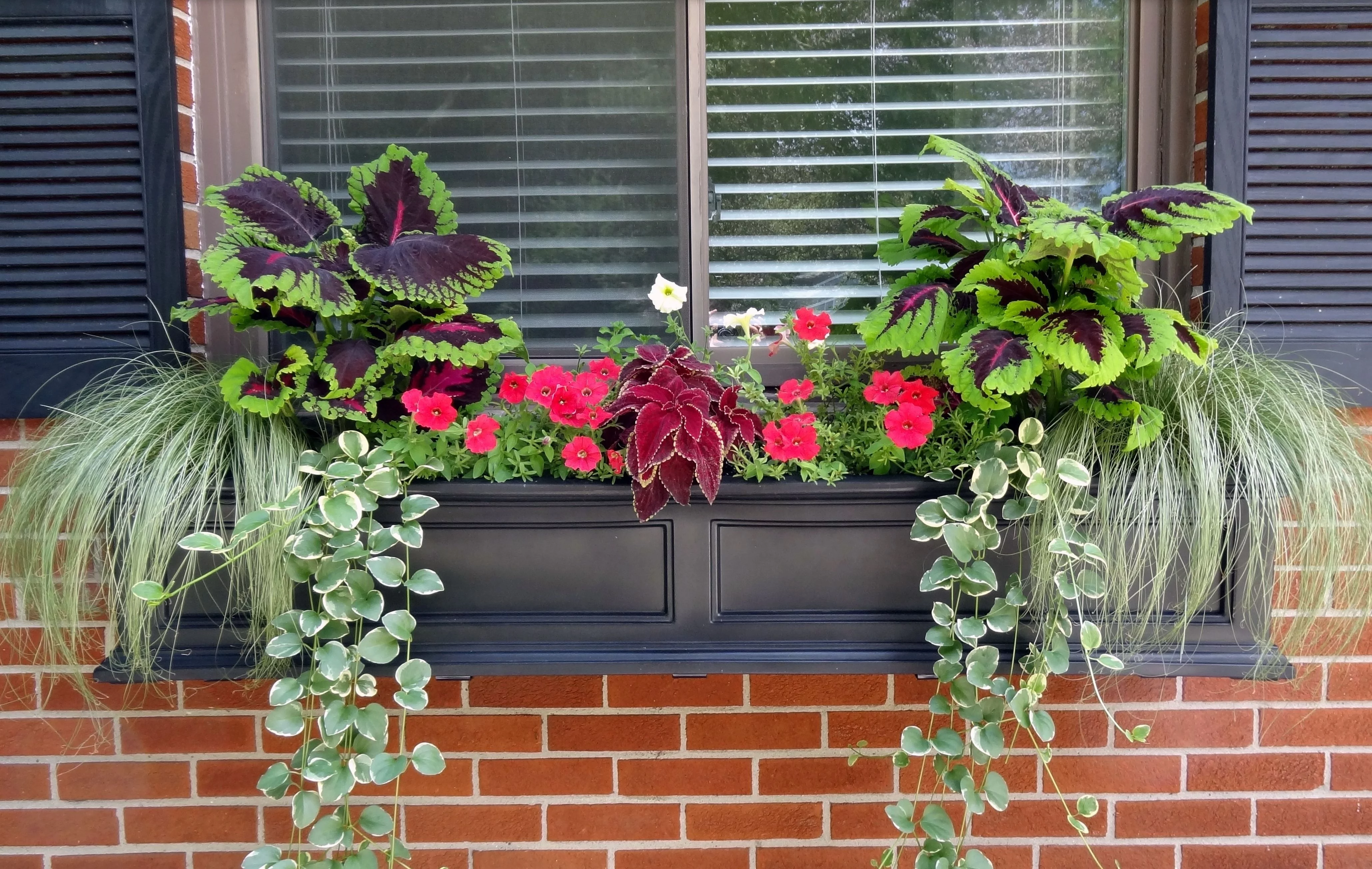Mayne Fairfield 60" x 11" x 10.8" Rectangle Black Self-Watering Polyethylene Window Box Planter