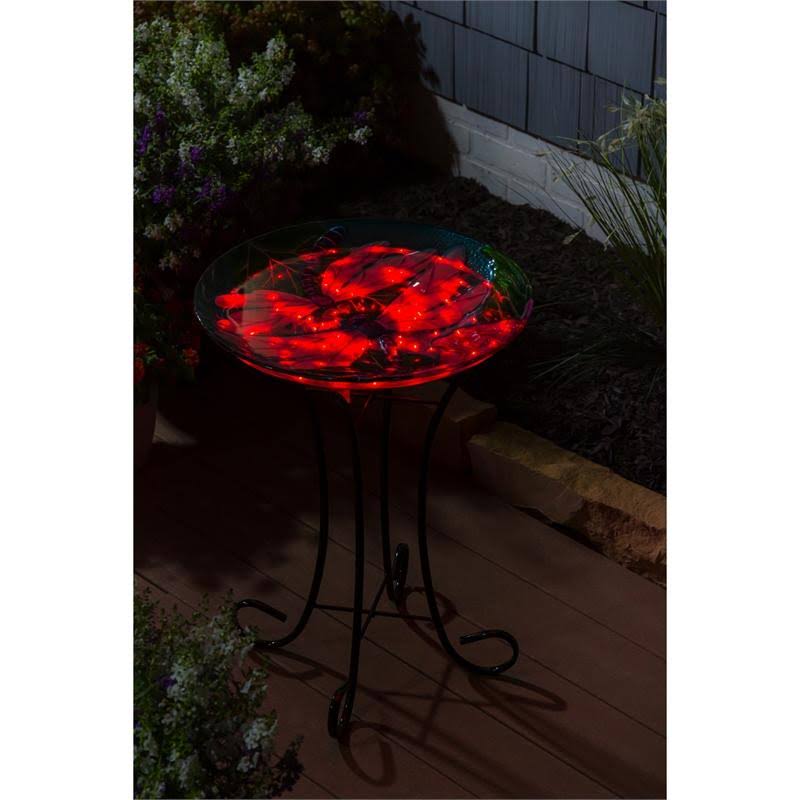 Dragonfly Duo Solar Hand Painted Embossed Glass Bird Bath with Stand