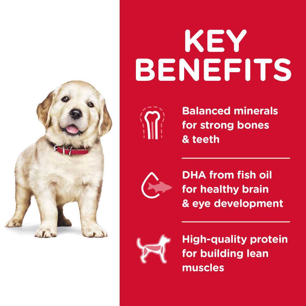 Hill's Science Diet Large Breed Puppy Chicken Recipe Dry Dog Food - Pet Supplies online store