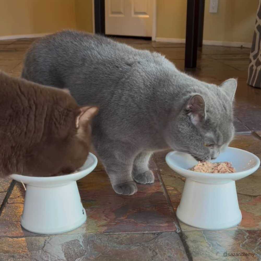 Rawz Cat Food Tuna - Pet Supplies online store